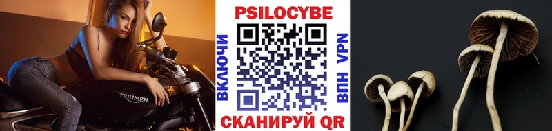 hydra вход хочу наркоту Приозерск нарко площадка как зайти Галлюциногенные грибы прущие грибы
