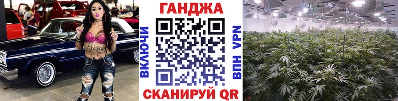 Каннабис OG Kush  Приозерск 